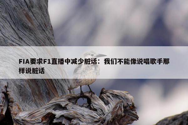 FIA要求F1直播中减少脏话：我们不能像说唱歌手那样说脏话