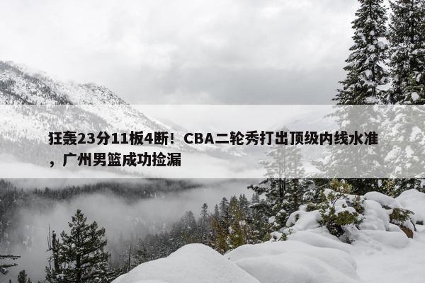 狂轰23分11板4断！CBA二轮秀打出顶级内线水准，广州男篮成功捡漏