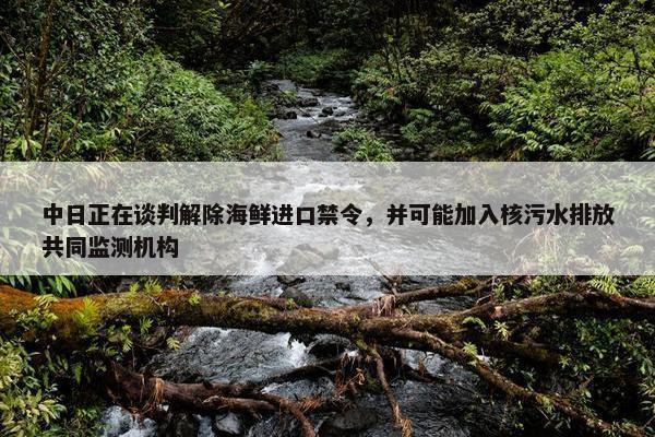 中日正在谈判解除海鲜进口禁令，并可能加入核污水排放共同监测机构