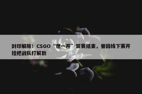 封印解除！CSGO“世一开”禁赛结束，曾因线下赛开挂把战队打解散