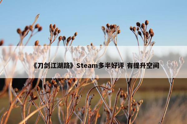 《刀剑江湖路》Steam多半好评 有提升空间