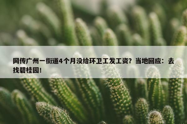 网传广州一街道4个月没给环卫工发工资？当地回应：去找碧桂园！