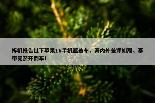 拆机报告扯下苹果16手机遮羞布，海内外差评如潮，基带竟然开倒车！ 