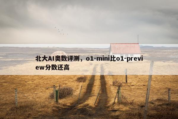 北大AI奥数评测，o1-mini比o1-preview分数还高