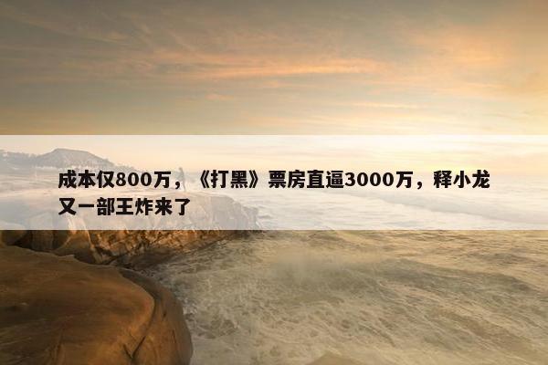 成本仅800万，《打黑》票房直逼3000万，释小龙又一部王炸来了