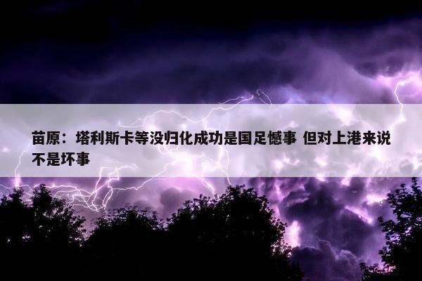 苗原：塔利斯卡等没归化成功是国足憾事 但对上港来说不是坏事