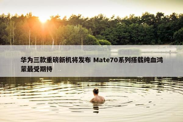 华为三款重磅新机将发布 Mate70系列搭载纯血鸿蒙最受期待