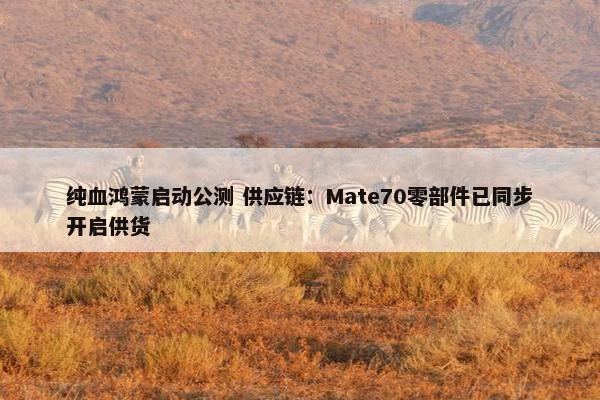 纯血鸿蒙启动公测 供应链：Mate70零部件已同步开启供货