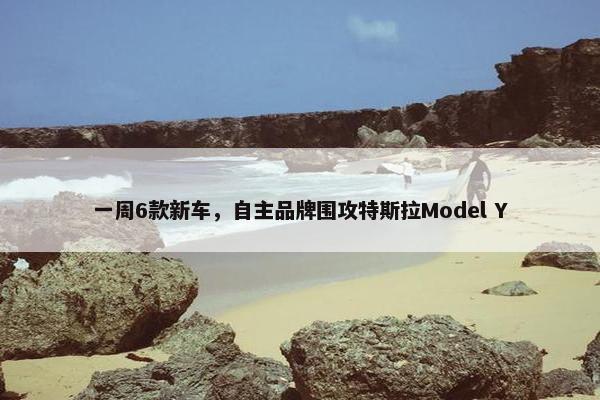 一周6款新车，自主品牌围攻特斯拉Model Y