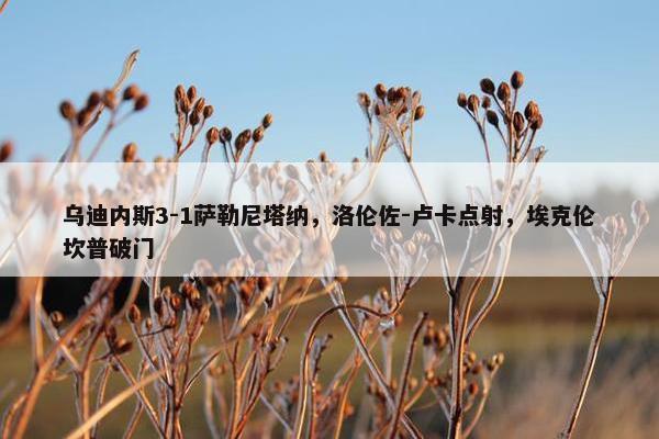 乌迪内斯3-1萨勒尼塔纳，洛伦佐-卢卡点射，埃克伦坎普破门