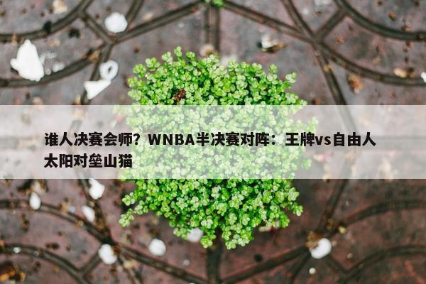 谁人决赛会师？WNBA半决赛对阵：王牌vs自由人 太阳对垒山猫