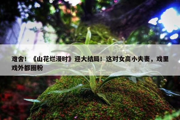 难舍！《山花烂漫时》迎大结局！这对女高小夫妻，戏里戏外都圈粉