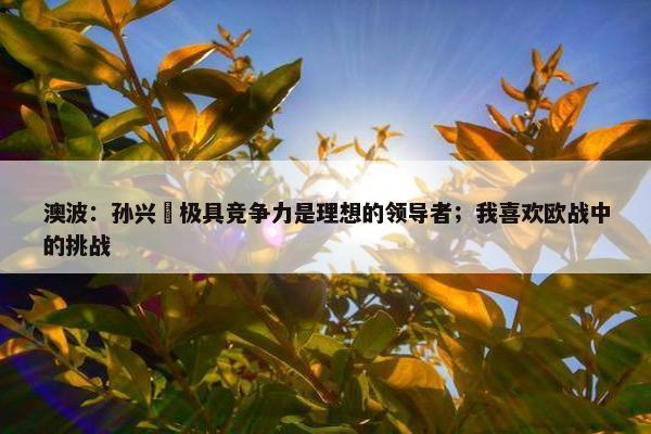 澳波：孙兴慜极具竞争力是理想的领导者；我喜欢欧战中的挑战