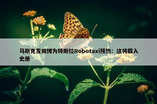 马斯克发微博为特斯拉Robotaxi预热：这将载入史册