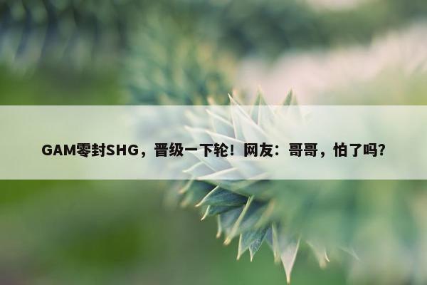 GAM零封SHG，晋级一下轮！网友：哥哥，怕了吗？