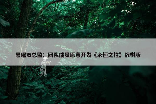 黑曜石总监：团队成员愿意开发《永恒之柱》战棋版