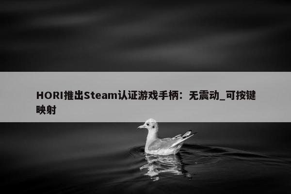 HORI推出Steam认证游戏手柄：无震动_可按键映射