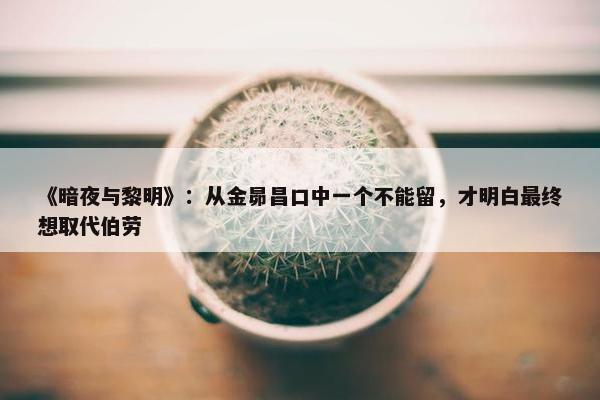 《暗夜与黎明》：从金昴昌口中一个不能留，才明白最终想取代伯劳