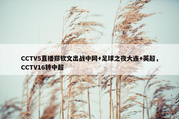 CCTV5直播郑钦文出战中网+足球之夜大连+英超，CCTV16转中超