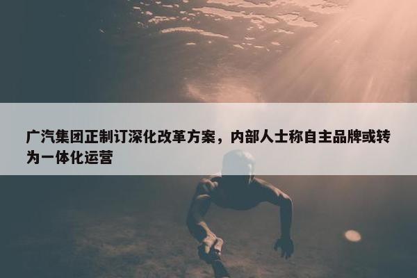 广汽集团正制订深化改革方案，内部人士称自主品牌或转为一体化运营