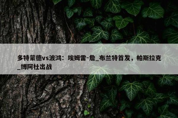 多特蒙德vs波鸿：埃姆雷-詹_布兰特首发，帕斯拉克_博阿杜出战