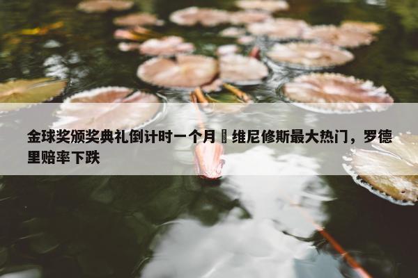 金球奖颁奖典礼倒计时一个月⌛维尼修斯最大热门，罗德里赔率下跌