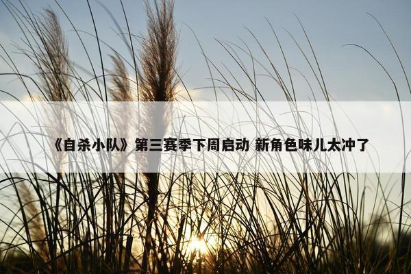 《自杀小队》第三赛季下周启动 新角色味儿太冲了