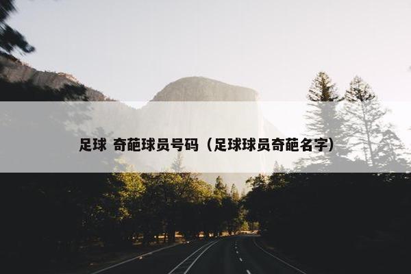 足球 奇葩球员号码（足球球员奇葩名字）