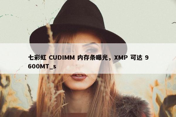 七彩虹 CUDIMM 内存条曝光，XMP 可达 9600MT_s