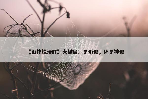 《山花烂漫时》大结局：是形似，还是神似