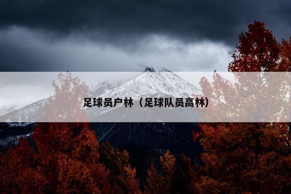 足球员户林（足球队员高林）