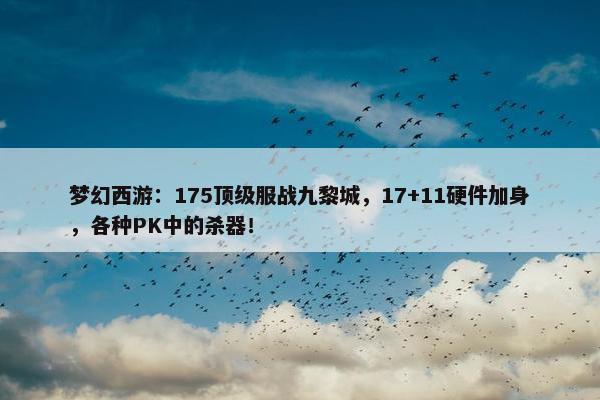 梦幻西游：175顶级服战九黎城，17+11硬件加身，各种PK中的杀器！