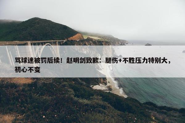 骂球迷被罚后续！赵明剑致歉：腿伤+不胜压力特别大，初心不变