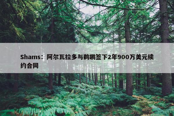 Shams：阿尔瓦拉多与鹈鹕签下2年900万美元续约合同