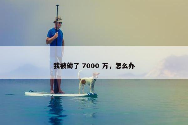 我被薅了 7000 万，怎么办