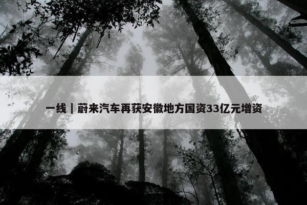 一线｜蔚来汽车再获安徽地方国资33亿元增资