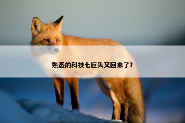 熟悉的科技七巨头又回来了？