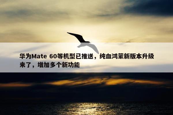 华为Mate 60等机型已推送，纯血鸿蒙新版本升级来了，增加多个新功能