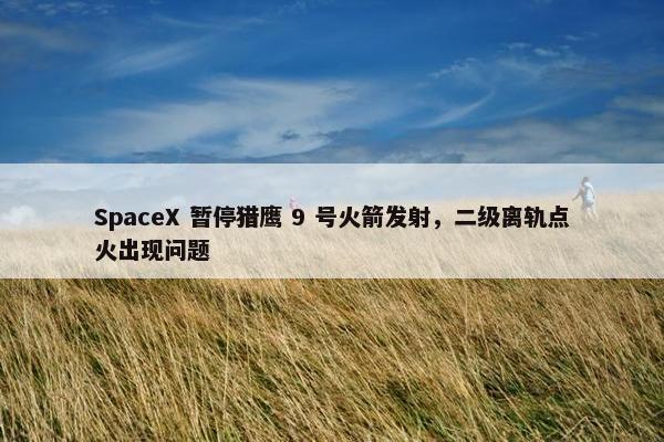 SpaceX 暂停猎鹰 9 号火箭发射，二级离轨点火出现问题