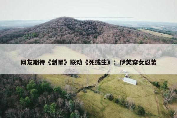 网友期待《剑星》联动《死或生》：伊芙穿女忍装