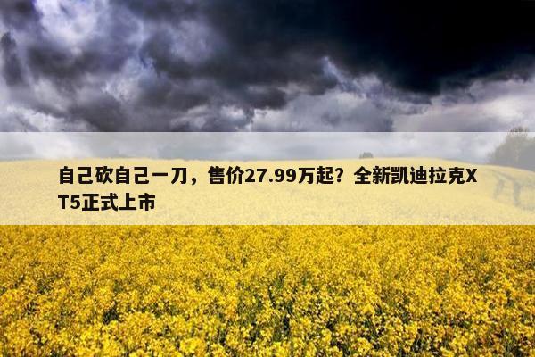 自己砍自己一刀，售价27.99万起？全新凯迪拉克XT5正式上市