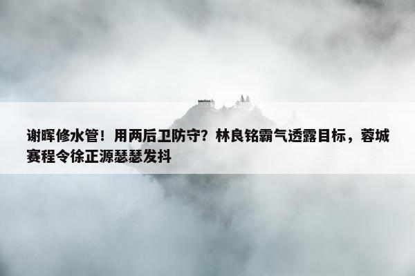 谢晖修水管！用两后卫防守？林良铭霸气透露目标，蓉城赛程令徐正源瑟瑟发抖