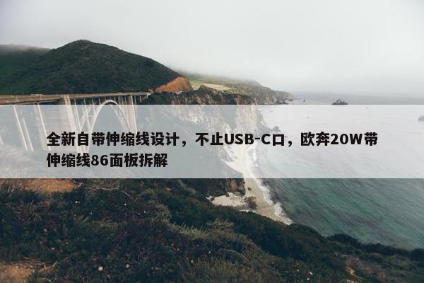 全新自带伸缩线设计，不止USB-C口，欧奔20W带伸缩线86面板拆解