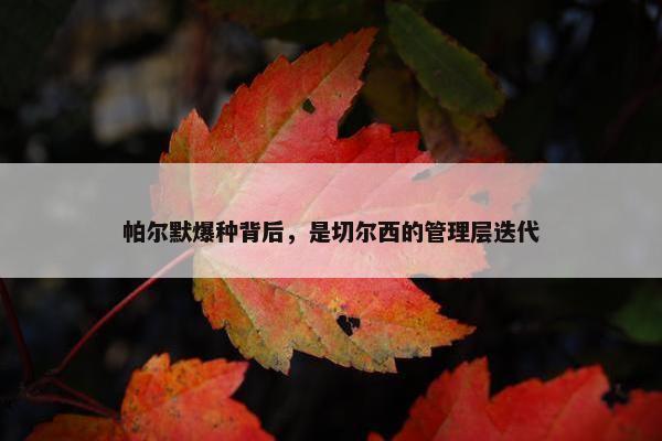 帕尔默爆种背后，是切尔西的管理层迭代