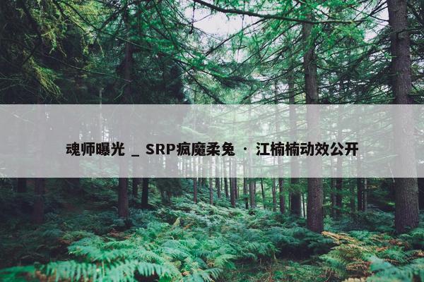 魂师曝光 _ SRP疯魔柔兔 · 江楠楠动效公开