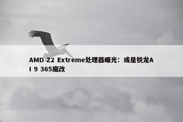 AMD Z2 Extreme处理器曝光：或是锐龙AI 9 365魔改