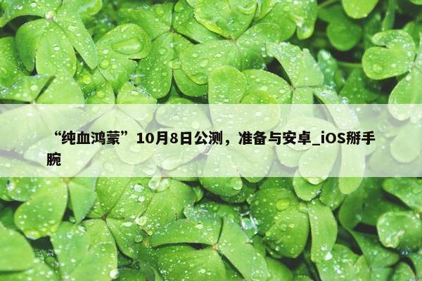 “纯血鸿蒙”10月8日公测，准备与安卓_iOS掰手腕