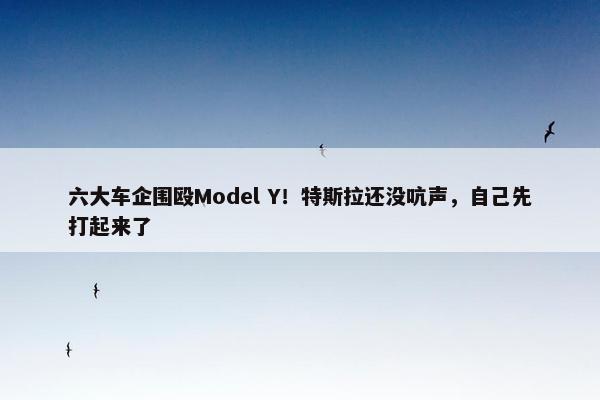 六大车企围殴Model Y！特斯拉还没吭声，自己先打起来了