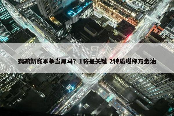 鹈鹕新赛季争当黑马？1将是关键 2特质堪称万金油