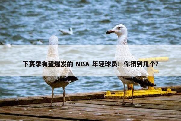 下赛季有望爆发的 NBA 年轻球员！你猜到几个？